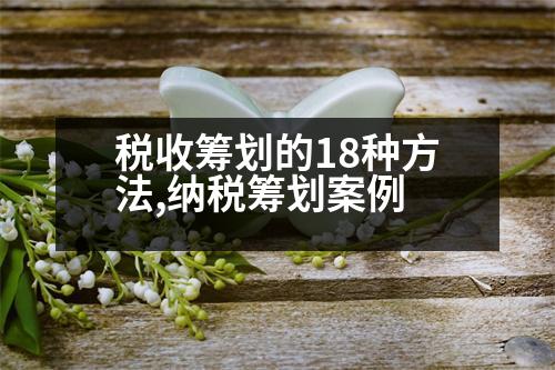 稅收籌劃的18種方法,納稅籌劃案例