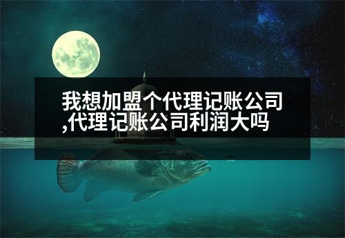 我想加盟個(gè)代理記賬公司,代理記賬公司利潤(rùn)大嗎