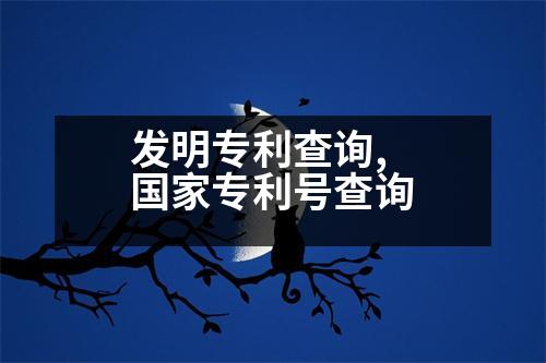 發(fā)明專利查詢,國家專利號(hào)查詢