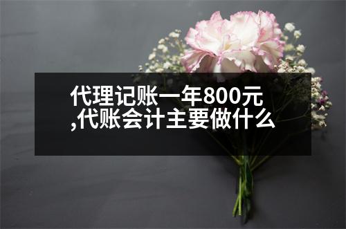 代理記賬一年800元,代賬會計主要做什么