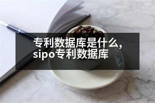 專利數(shù)據(jù)庫是什么,sipo專利數(shù)據(jù)庫