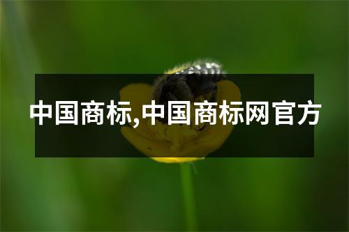 中國商標(biāo),中國商標(biāo)網(wǎng)官方