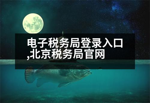 電子稅務(wù)局登錄入口,北京稅務(wù)局官網(wǎng)