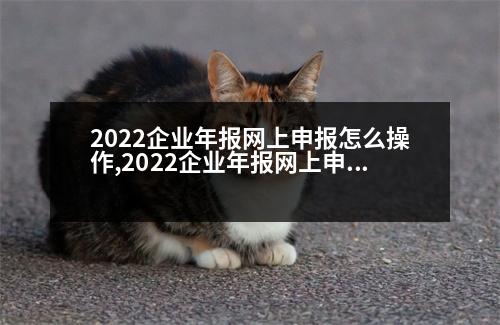 2022企業(yè)年報網(wǎng)上申報怎么操作,2022企業(yè)年報網(wǎng)上申報