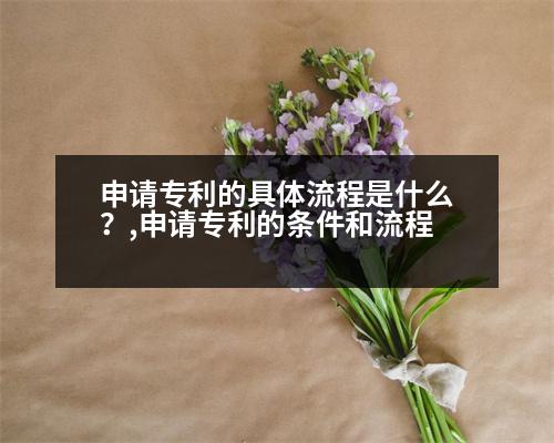 申請(qǐng)專利的具體流程是什么？,申請(qǐng)專利的條件和流程