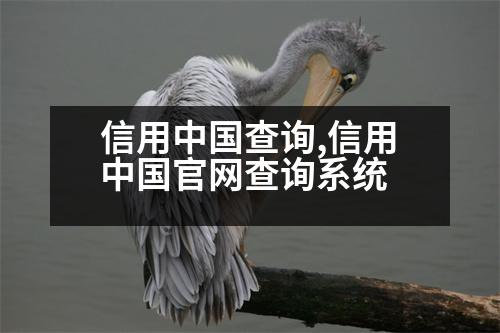 信用中國查詢,信用中國官網(wǎng)查詢系統(tǒng)