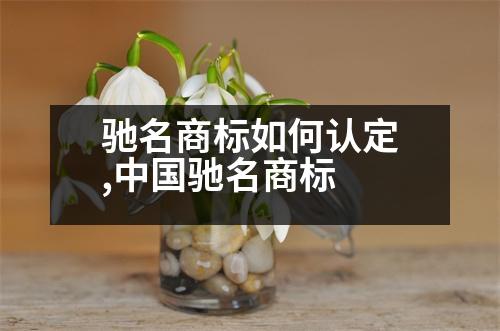 馳名商標(biāo)如何認(rèn)定,中國(guó)馳名商標(biāo)