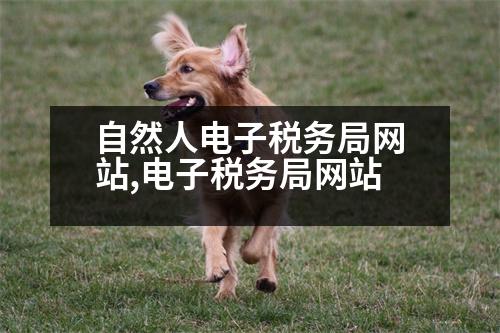 自然人電子稅務局網(wǎng)站,電子稅務局網(wǎng)站