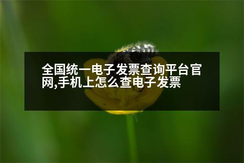 全國(guó)統(tǒng)一電子發(fā)票查詢平臺(tái)官網(wǎng),手機(jī)上怎么查電子發(fā)票