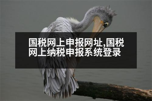 國稅網(wǎng)上申報網(wǎng)址,國稅網(wǎng)上納稅申報系統(tǒng)登錄