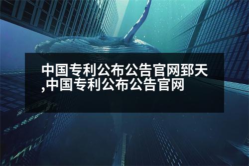 中國專利公布公告官網(wǎng)郅天,中國專利公布公告官網(wǎng)