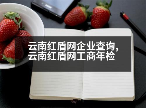 云南紅盾網(wǎng)企業(yè)查詢,云南紅盾網(wǎng)工商年檢