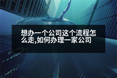 想辦一個(gè)公司這個(gè)流程怎么走,如何辦理一家公司