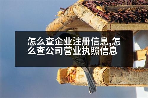 怎么查企業(yè)注冊信息,怎么查公司營業(yè)執(zhí)照信息