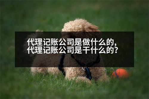 代理記賬公司是做什么的,代理記賬公司是干什么的？