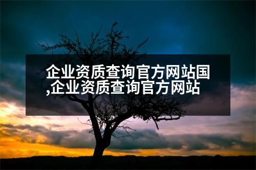 企業(yè)資質(zhì)查詢(xún)官方網(wǎng)站國(guó),企業(yè)資質(zhì)查詢(xún)官方網(wǎng)站