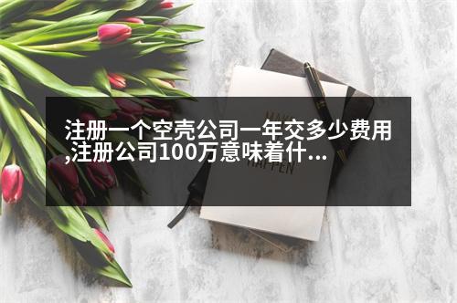 注冊一個空殼公司一年交多少費用,注冊公司100萬意味著什么