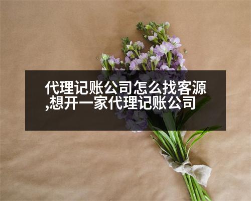 代理記賬公司怎么找客源,想開(kāi)一家代理記賬公司