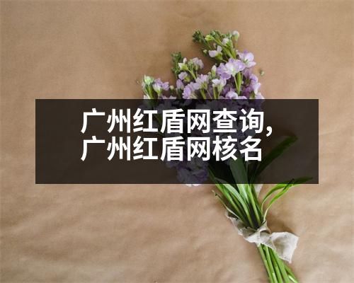 廣州紅盾網(wǎng)查詢,廣州紅盾網(wǎng)核名