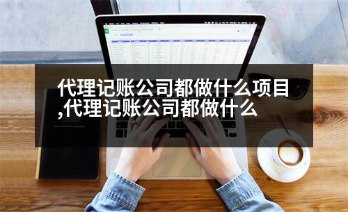 代理記賬公司都做什么項(xiàng)目,代理記賬公司都做什么