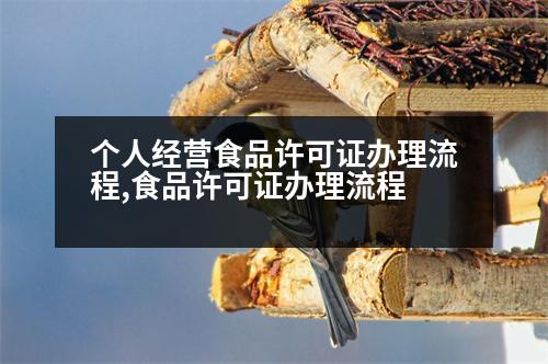 個人經營食品許可證辦理流程,食品許可證辦理流程