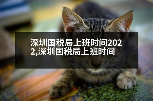 深圳國(guó)稅局上班時(shí)間2022,深圳國(guó)稅局上班時(shí)間