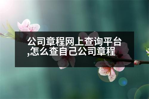 公司章程網(wǎng)上查詢平臺(tái),怎么查自己公司章程