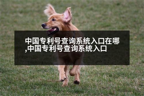 中國(guó)專利號(hào)查詢系統(tǒng)入口在哪,中國(guó)專利號(hào)查詢系統(tǒng)入口