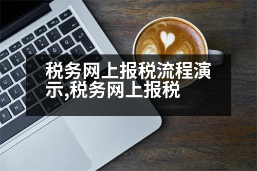 稅務網(wǎng)上報稅流程演示,稅務網(wǎng)上報稅