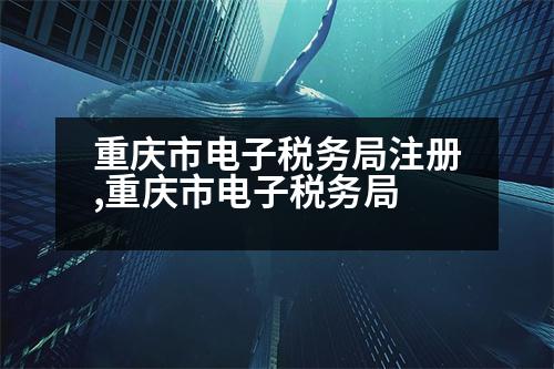 重慶市電子稅務(wù)局注冊(cè),重慶市電子稅務(wù)局