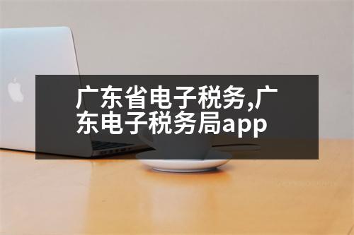 廣東省電子稅務(wù),廣東電子稅務(wù)局app