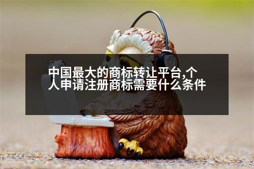 中國最大的商標(biāo)轉(zhuǎn)讓平臺(tái),個(gè)人申請(qǐng)注冊(cè)商標(biāo)需要什么條件