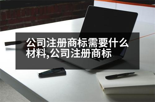 公司注冊商標需要什么材料,公司注冊商標