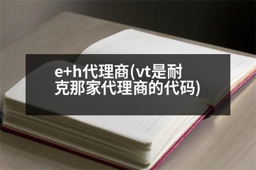 e+h代理商(vt是耐克那家代理商的代碼)