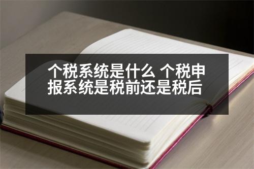 個稅系統(tǒng)是什么 個稅申報系統(tǒng)是稅前還是稅后