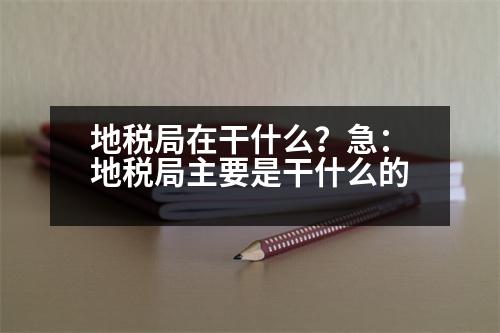 地稅局在干什么？急：地稅局主要是干什么的