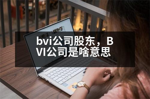 bvi公司股東，BVI公司是啥意思