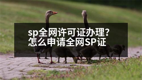 sp全網(wǎng)許可證辦理？怎么申請全網(wǎng)SP證