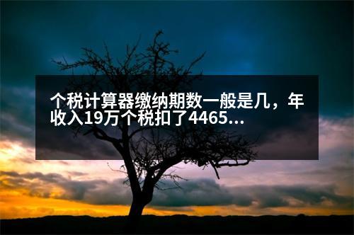 個稅計算器繳納期數(shù)一般是幾，年收入19萬個稅扣了4465能退多少稅