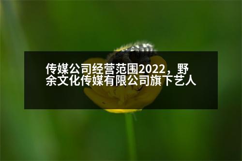 傳媒公司經(jīng)營(yíng)范圍2022，野余文化傳媒有限公司旗下藝人