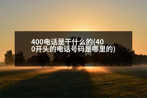 400電話是干什么的(400開頭的電話號碼是哪里的)