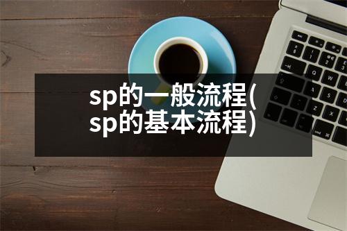 sp的一般流程(sp的基本流程)