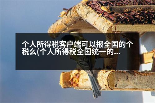 個(gè)人所得稅客戶端可以報(bào)全國的個(gè)稅么(個(gè)人所得稅全國統(tǒng)一的嗎)