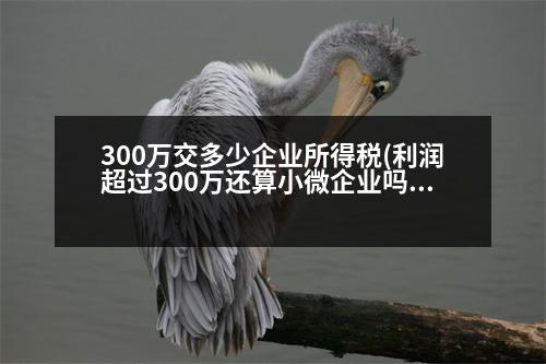 300萬(wàn)交多少企業(yè)所得稅(利潤(rùn)超過300萬(wàn)還算小微企業(yè)嗎)