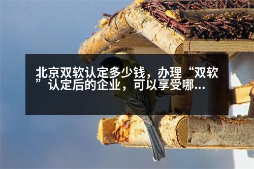 北京雙軟認(rèn)定多少錢，辦理“雙軟”認(rèn)定后的企業(yè)，可以享受哪些優(yōu)惠