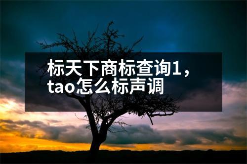 標(biāo)天下商標(biāo)查詢1，tao怎么標(biāo)聲調(diào)