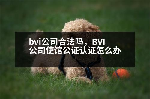 bvi公司合法嗎，BVI公司使館公證認(rèn)證怎么辦