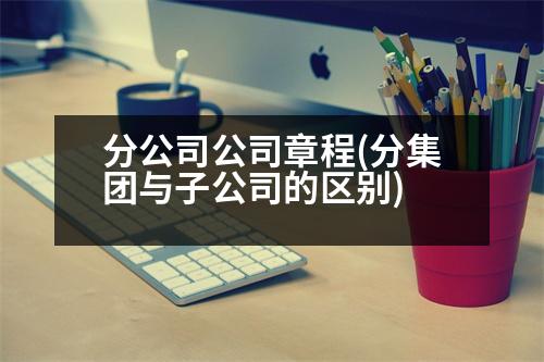 分公司公司章程(分集團與子公司的區(qū)別)