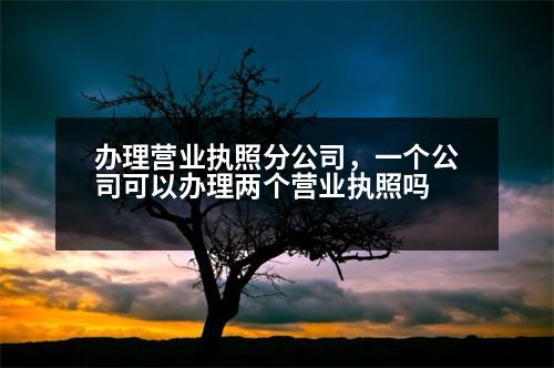 辦理營業(yè)執(zhí)照分公司，一個公司可以辦理兩個營業(yè)執(zhí)照嗎