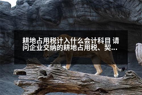 耕地占用稅計入什么會計科目 請問企業(yè)交納的耕地占用稅、契稅該怎樣做賬務處理